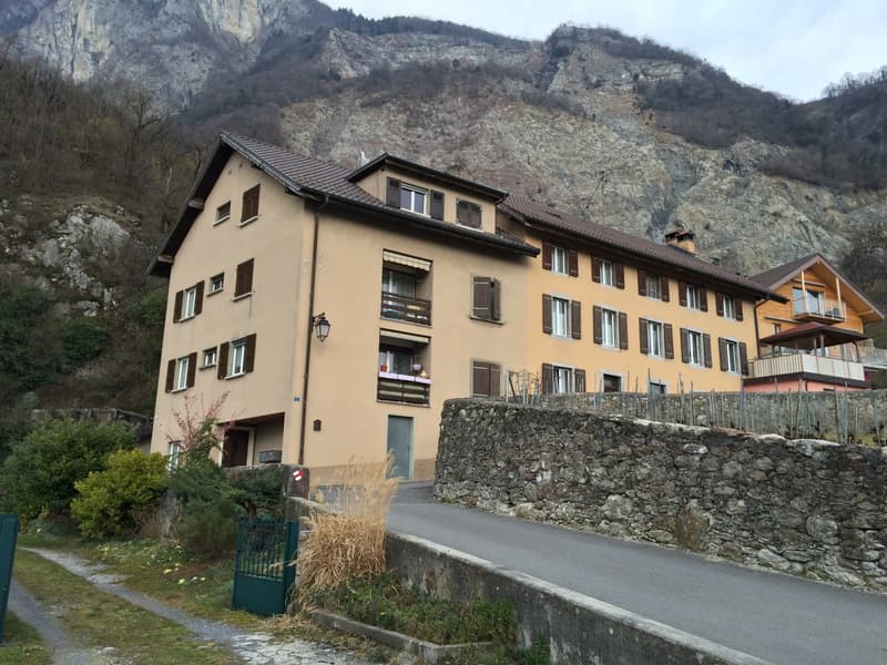 Roche - Au Vieux Moulin 3 - appartement de 2 pièces au (3)
