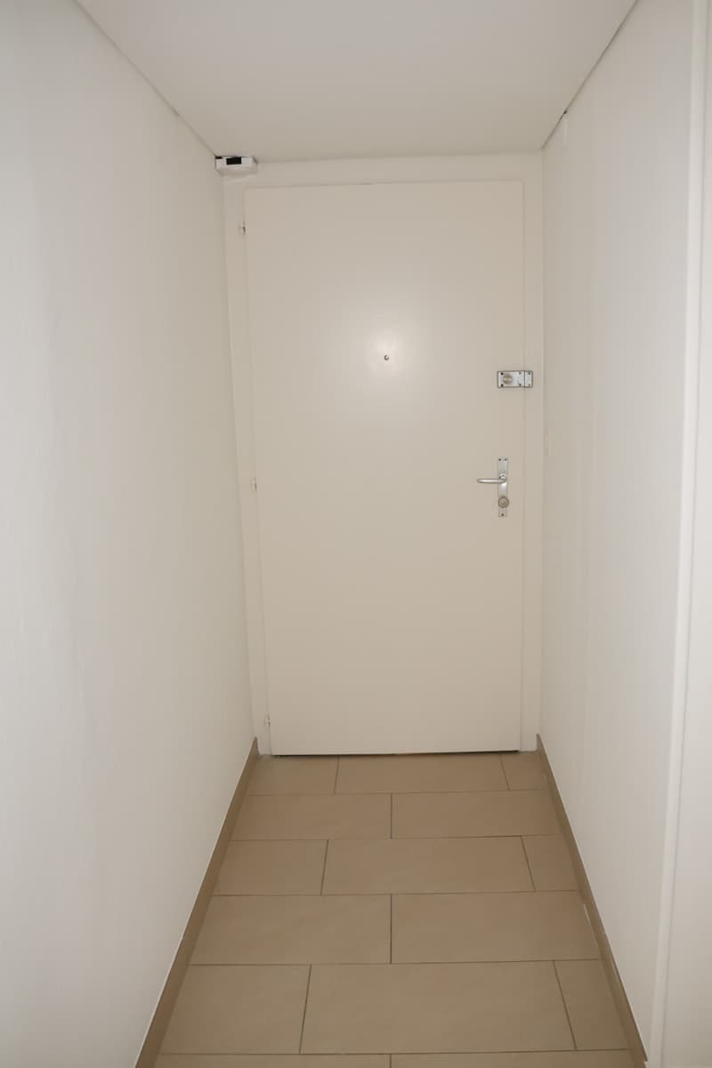 Lausanne - Avenue de Rumine 50 - 3.5-Zimmer-Wohnung im Untergeschoss (2)