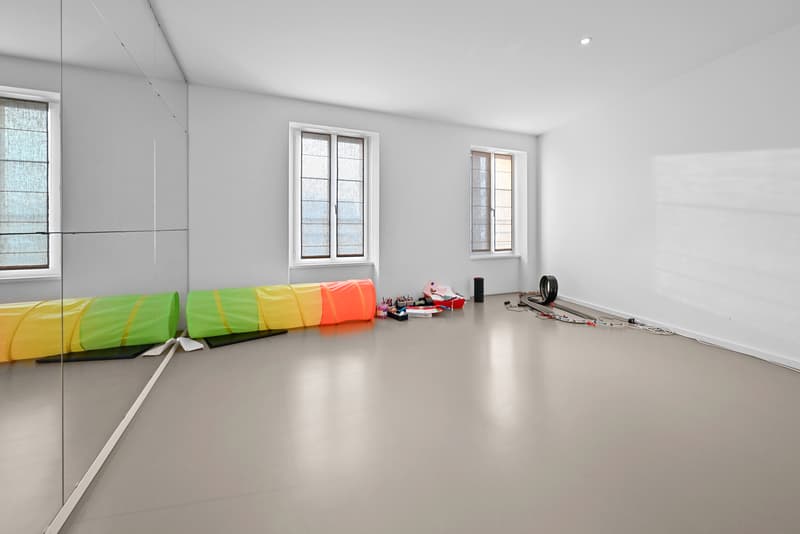 La Tour-de-Peilz - rue du Temple 1 - prächtige 8.5-Zimmer-Villa (10)