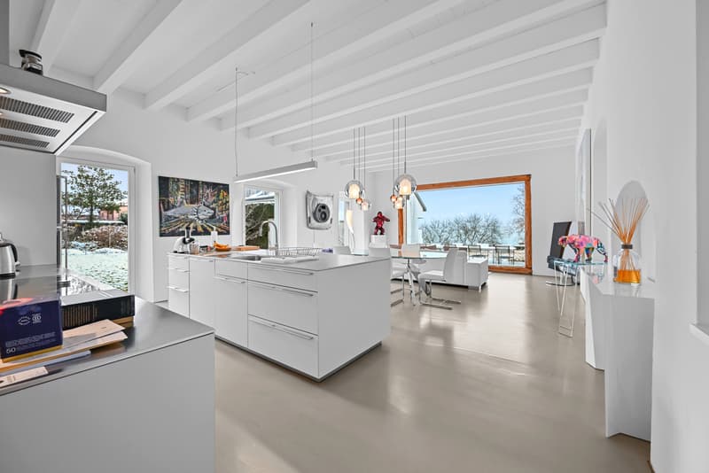 La Tour-de-Peilz - rue du Temple 1 - prächtige 8.5-Zimmer-Villa (1)