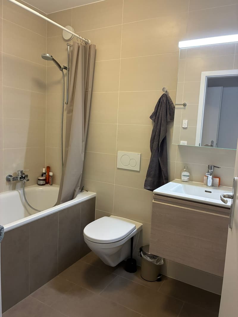 Crissier - Rue des Alpes 65 - appartement de 4.5 pièces au 3ème (6)