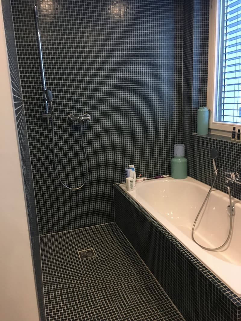 Vevey - rue du Collège 1 - appartement de 6.5 pièces au 1er étage (6)