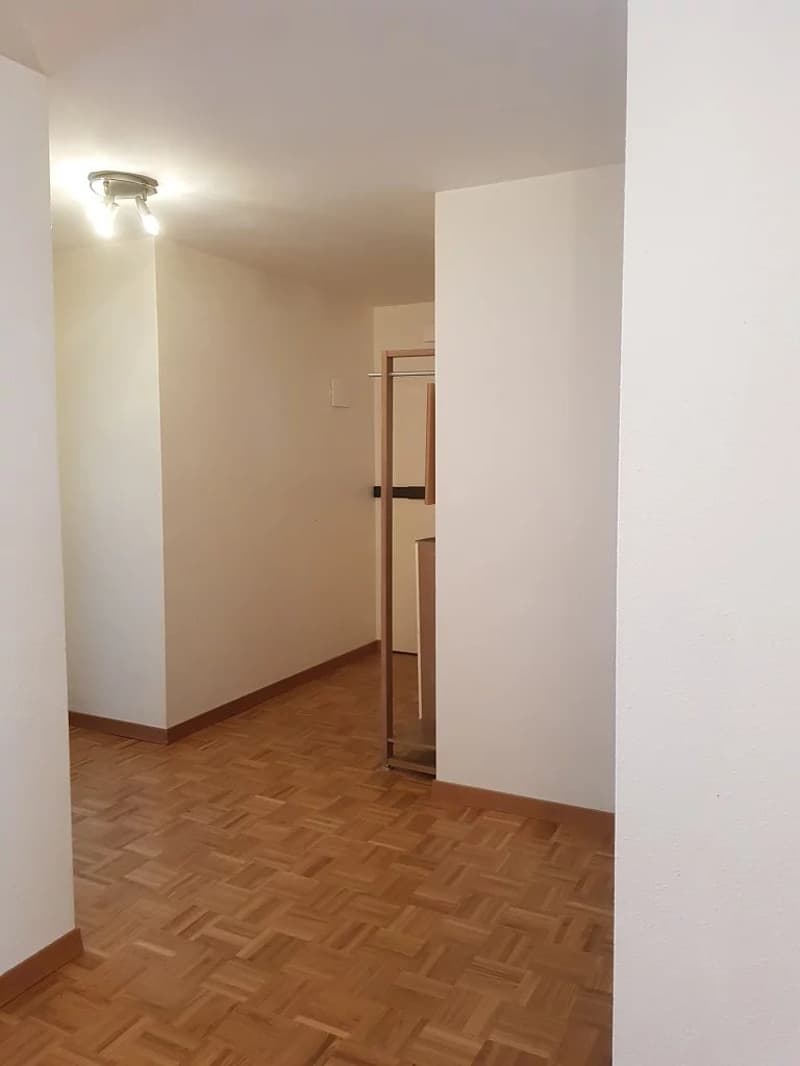 Dans le quartier de Champel à Genève, grand appartement meublé de 4 pièces au 2ème étage (2)