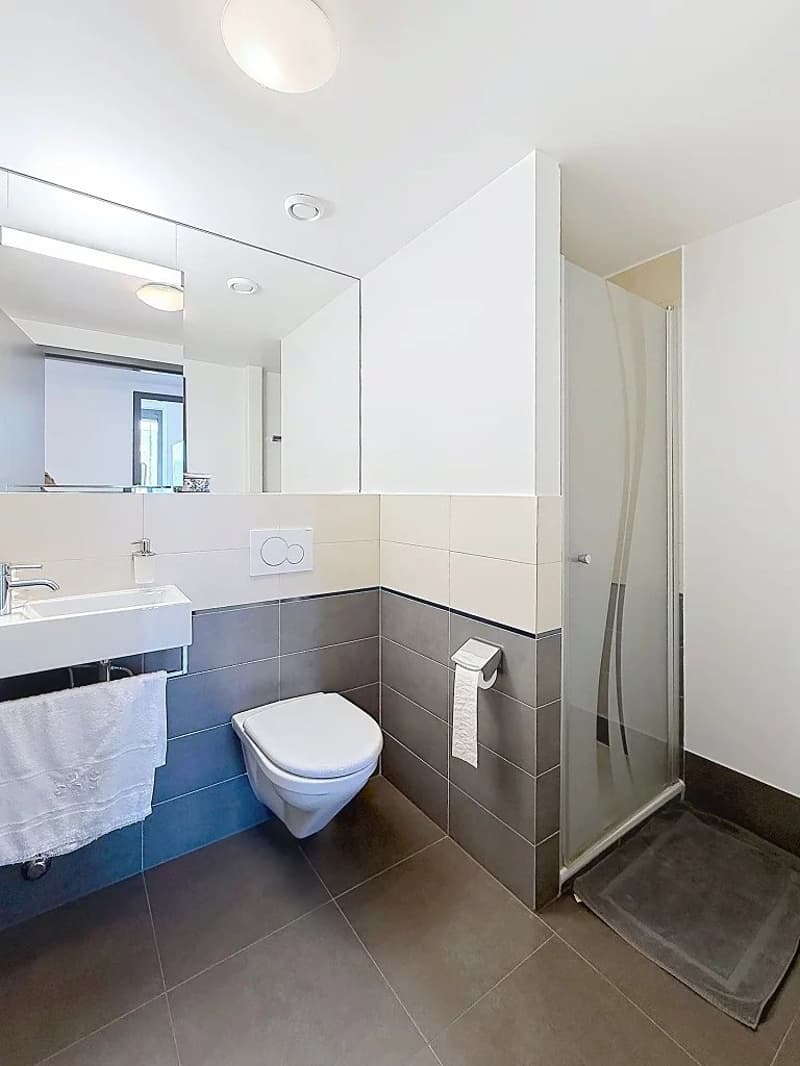 Très bel appartement lumineux à proximité immédiate du lac et du parc des Eaux-Vives (7)