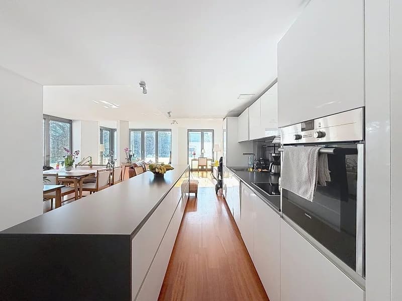 Très bel appartement lumineux à proximité immédiate du lac et du parc des Eaux-Vives (9)