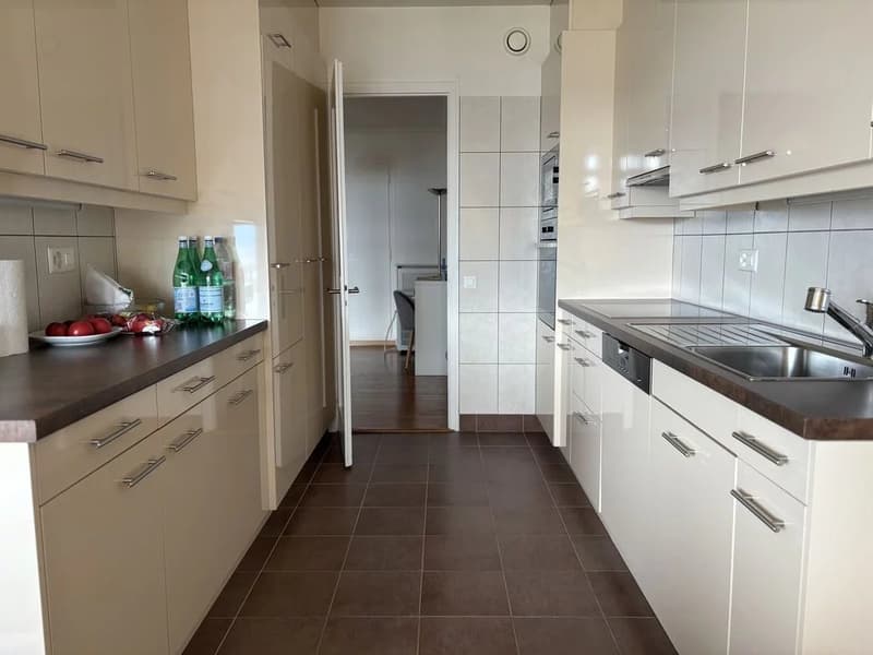A proximité des organisations internationales, appartement meublé de 3 pièces (3)