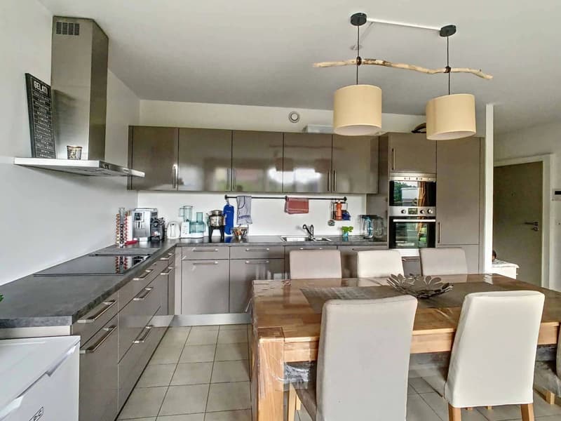 Appartement de 5 pièces avec terrasse et jardin dans le village de Satigny (4)