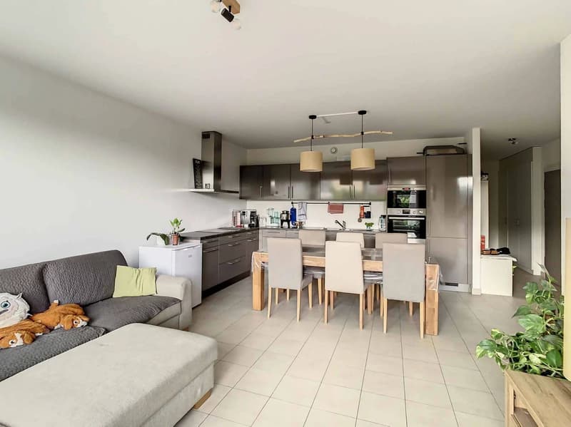 Appartement de 5 pièces avec terrasse et jardin dans le village de Satigny (3)