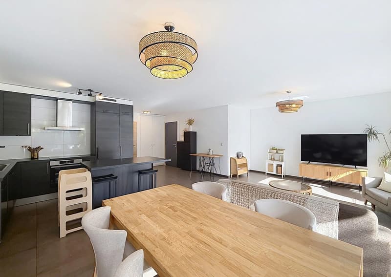 Très bel appartement moderne avec terrasse (3)