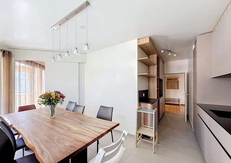 Très bel appartement spacieux et lumineux avec loggia (3)