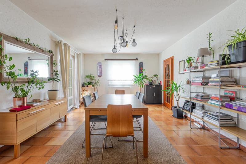 Detached house with 6.5 rooms - Chêne-Bourg (3)