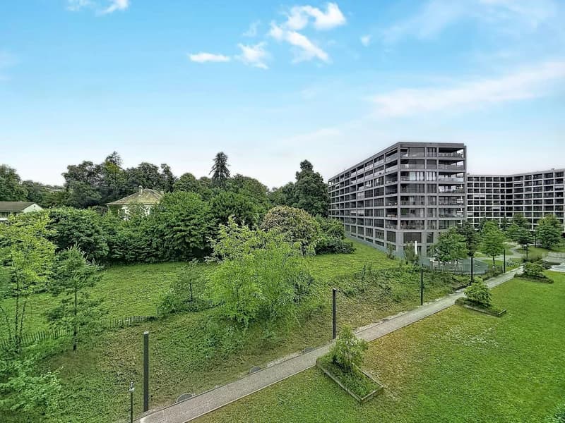 GENEVE CENTRE-RIVE DROITE | MAGNIFIQUE 4.5 PIÈCES (6)