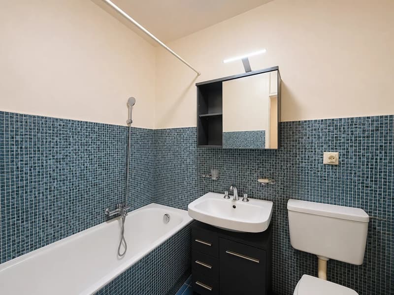 Beautiful Opportunity in Confignon? Semi-Detached Single-Story House to Renovate (9)