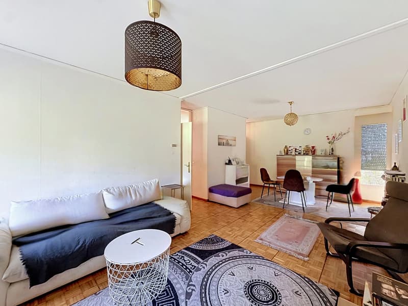 Beautiful Opportunity in Confignon? Semi-Detached Single-Story House to Renovate (11)