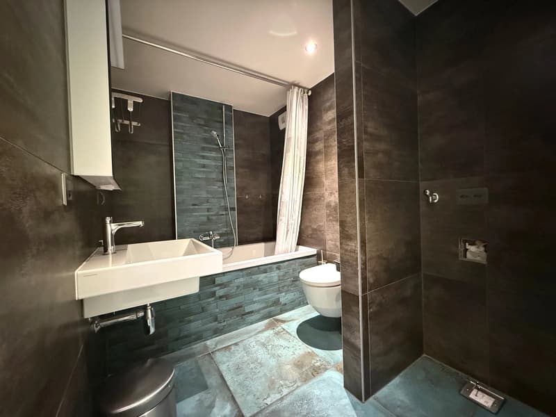 Magnifique appartement de 5,5 pièces en attique (6)