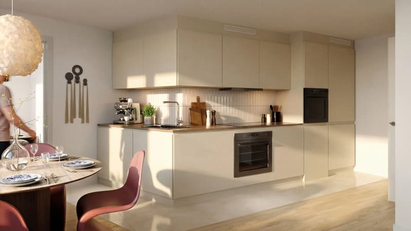Appartement de 3 pièces neuf en plein centre Rive droite (2)