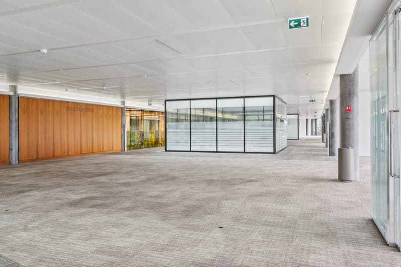 Superficie commerciale su Avenue du Bouchet 2-12 (5)