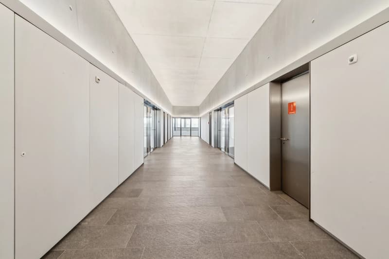 Beautiful semi-fitted surfaces in Plan-les-Ouates (4)