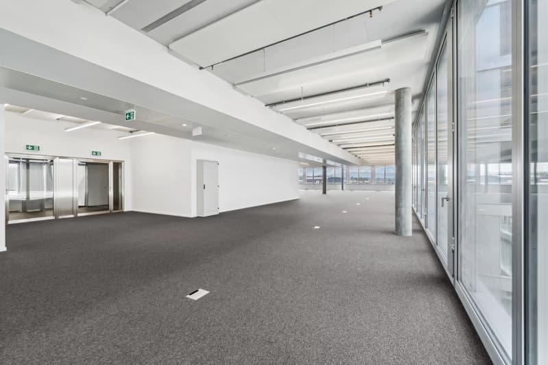 Belles surfaces semi-aménagées à Plan-les-Ouates (10)