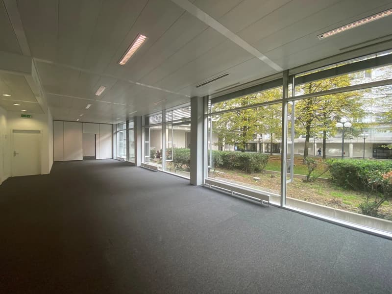 Arcate a Charmilles in zona FTI (4)