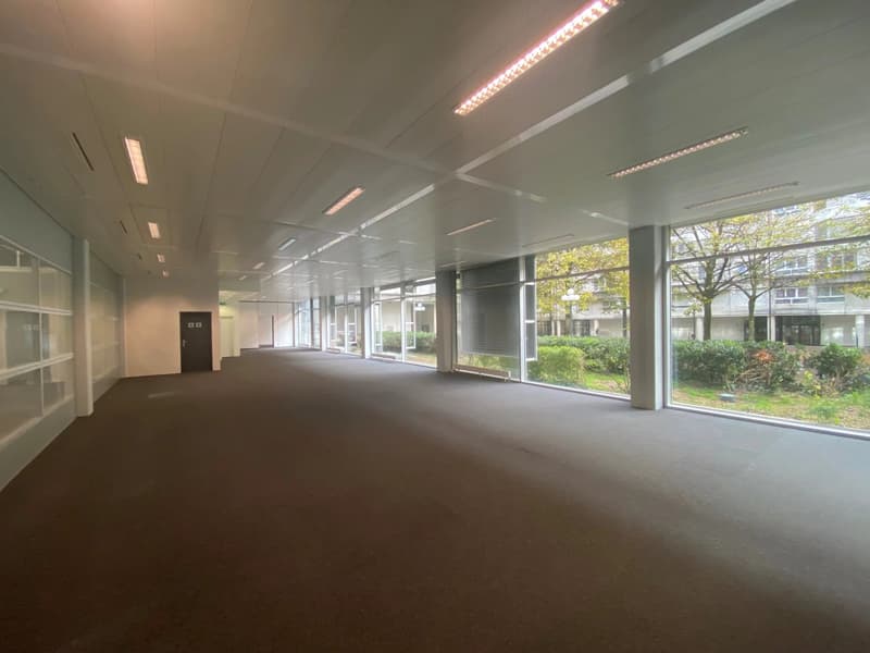 Arcate a Charmilles in zona FTI (3)