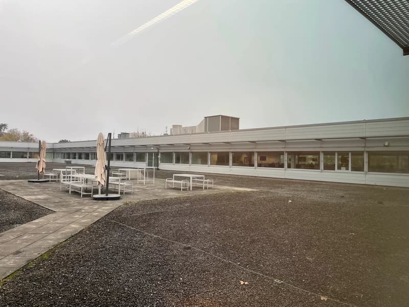 5000 m² located in the heart of a dynamic area (8)