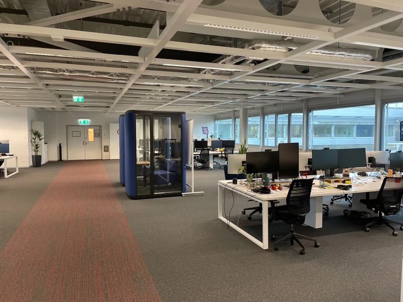 5000 m² located in the heart of a dynamic area (6)