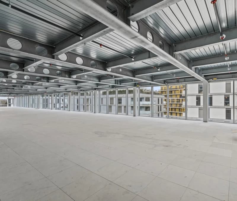 Offer your business an innovative and flexible space (7)