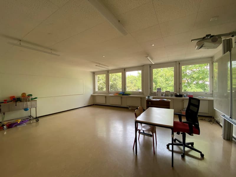 Uffici in affitto a Petit-Saconnex in un edificio privato (12)