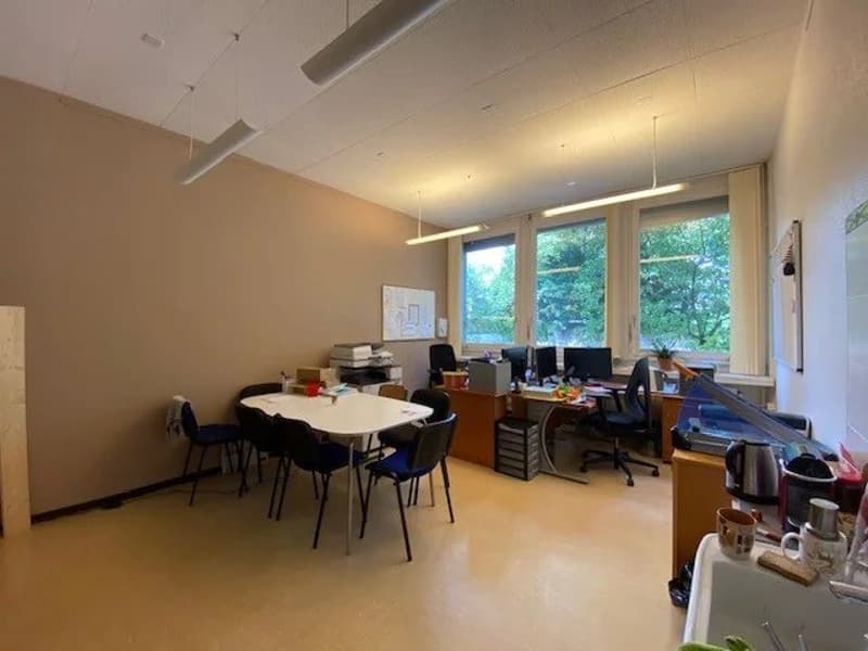 Uffici in affitto a Petit-Saconnex in un edificio privato (11)