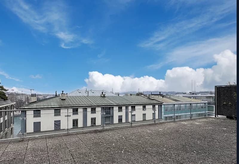 Offices in the heart of Geneva with terrace (1)