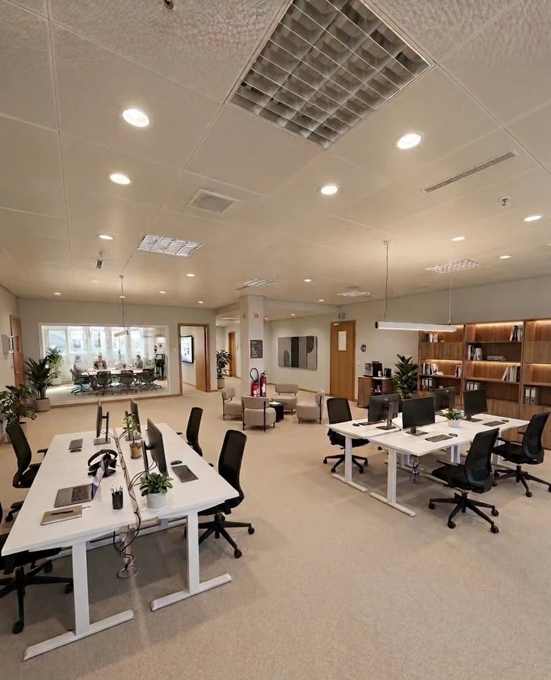 Offices in the heart of Geneva with terrace (2)