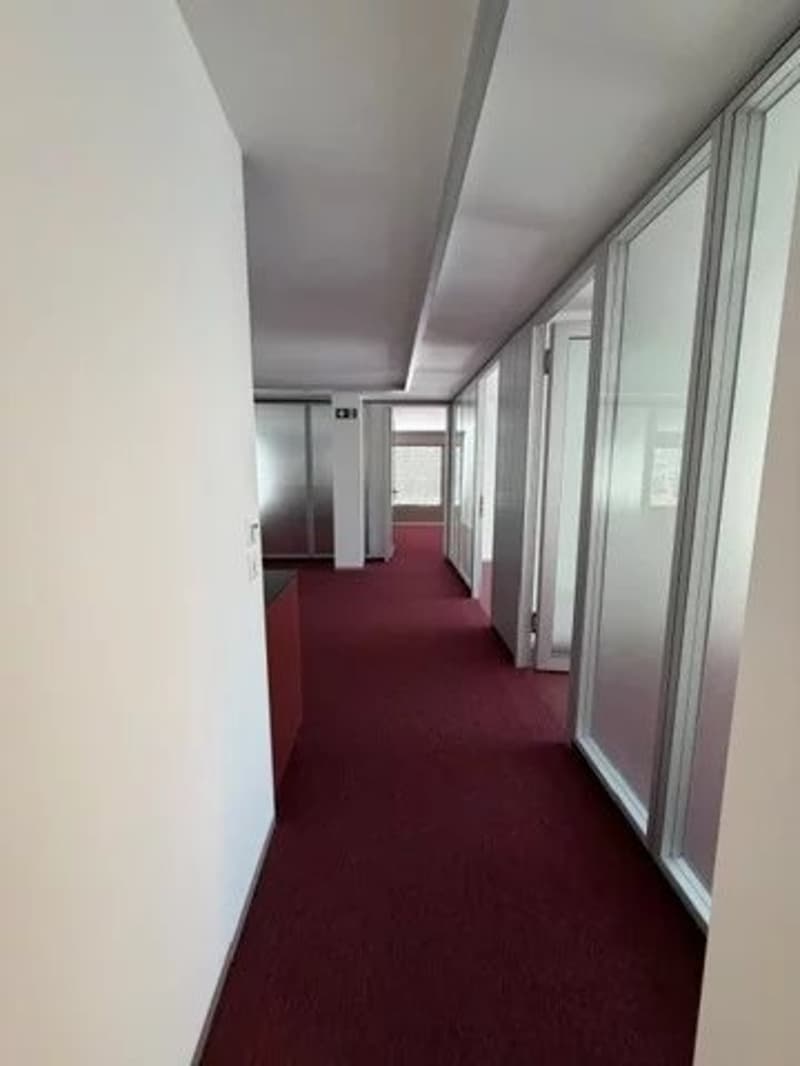 Spazio commerciale di prima scelta ad Acacias (8)