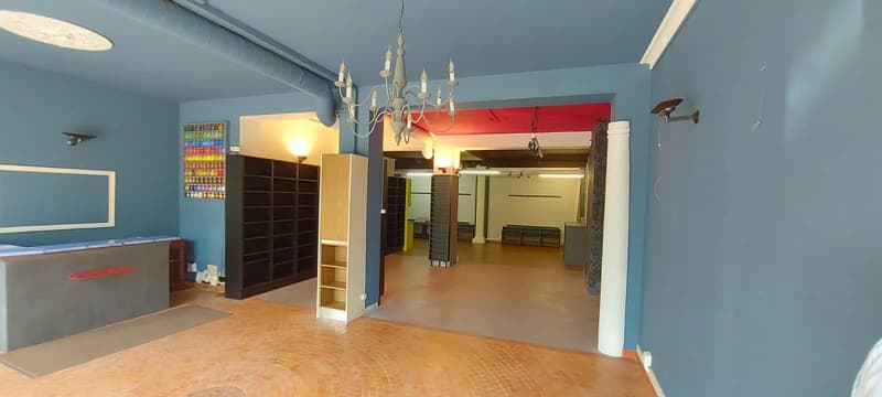 Arcata commerciale in un ambiente privilegiato a Carouge (2)