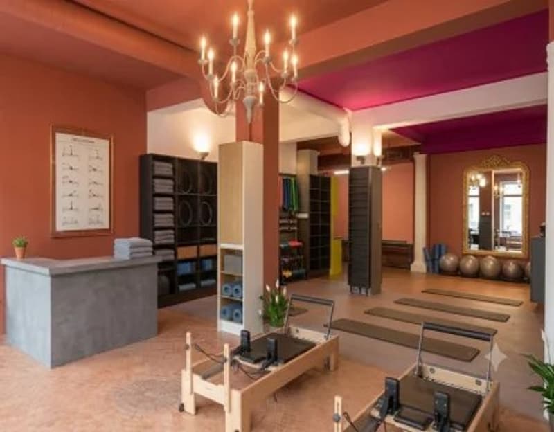 Arcata commerciale in un ambiente privilegiato a Carouge (4)