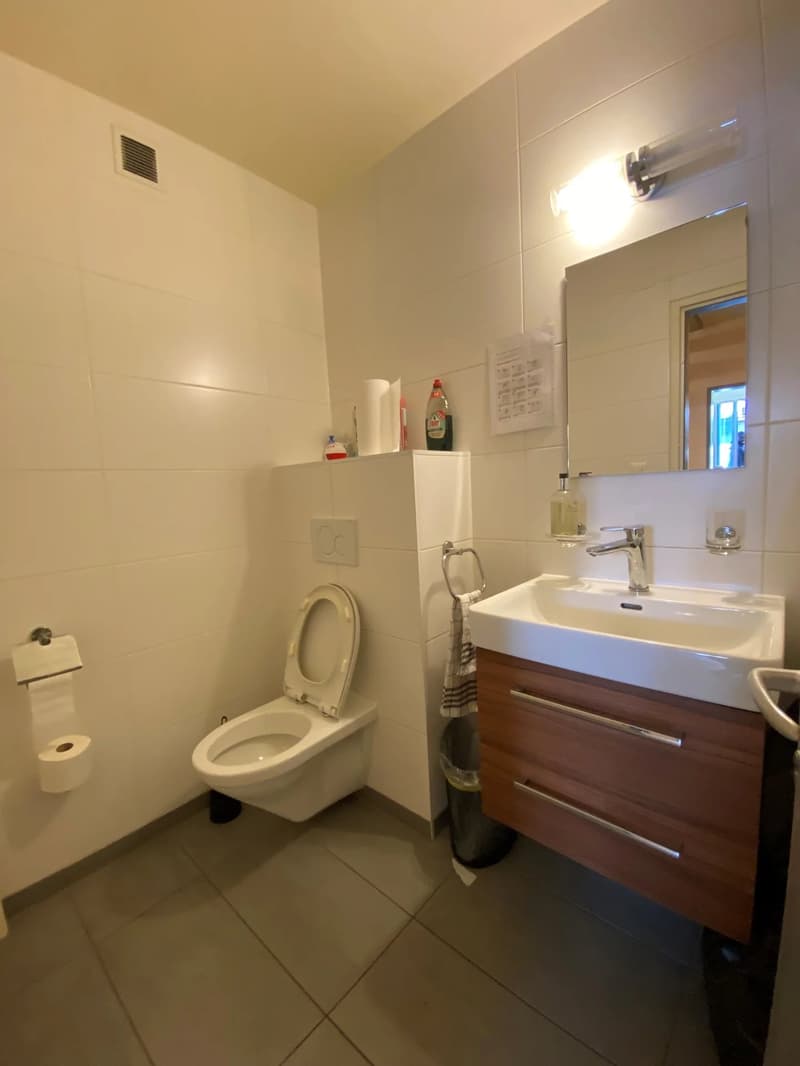 Surfaces de bureaux aménagées idéalement situées (7)