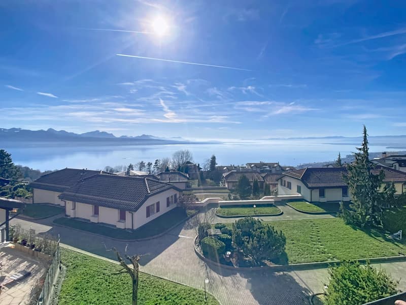 Appartamento in attico di 135 m² con vista mozzafiato sul Lago di Ginevra (2)