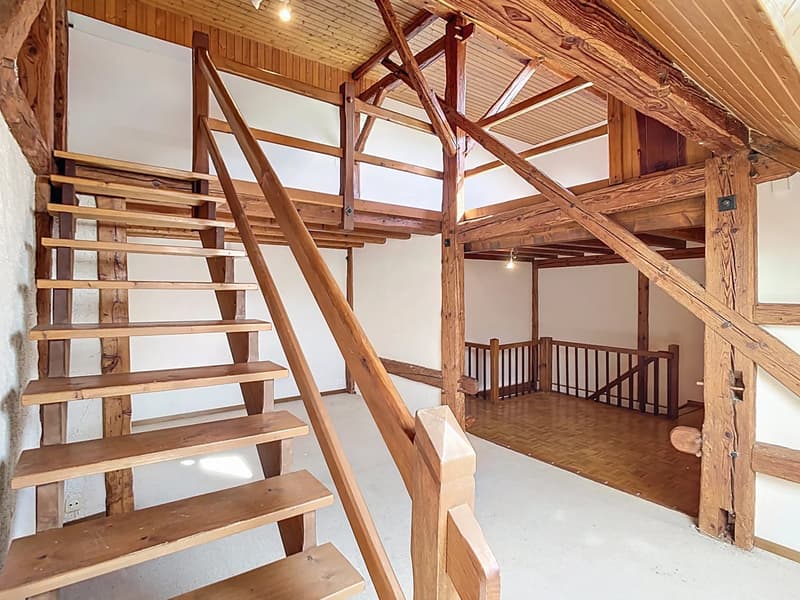 Loft of 120 m² with exclusive terrace of 23 m² (2)