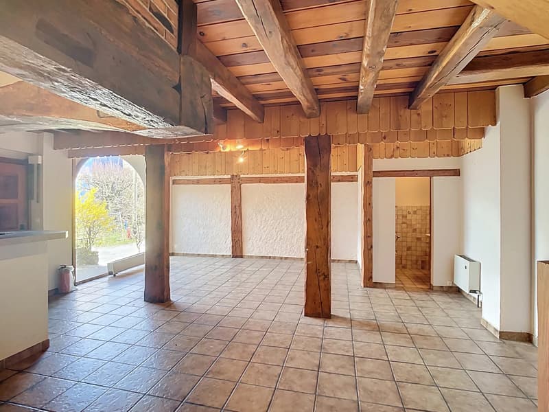 Loft of 120 m² with exclusive terrace of 23 m² (6)