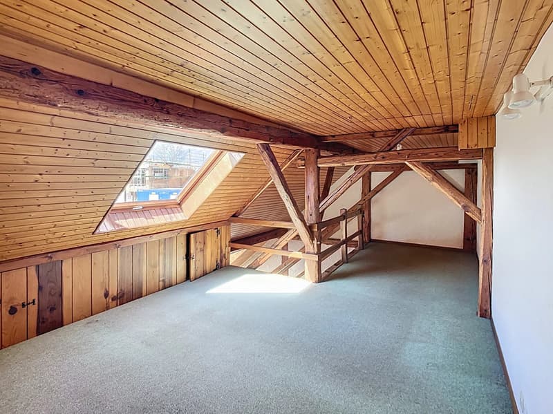 Loft of 120 m² with exclusive terrace of 23 m² (3)
