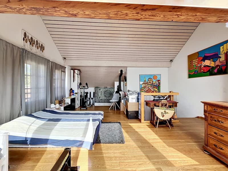 Charming 4.5-room duplex apartment (1)