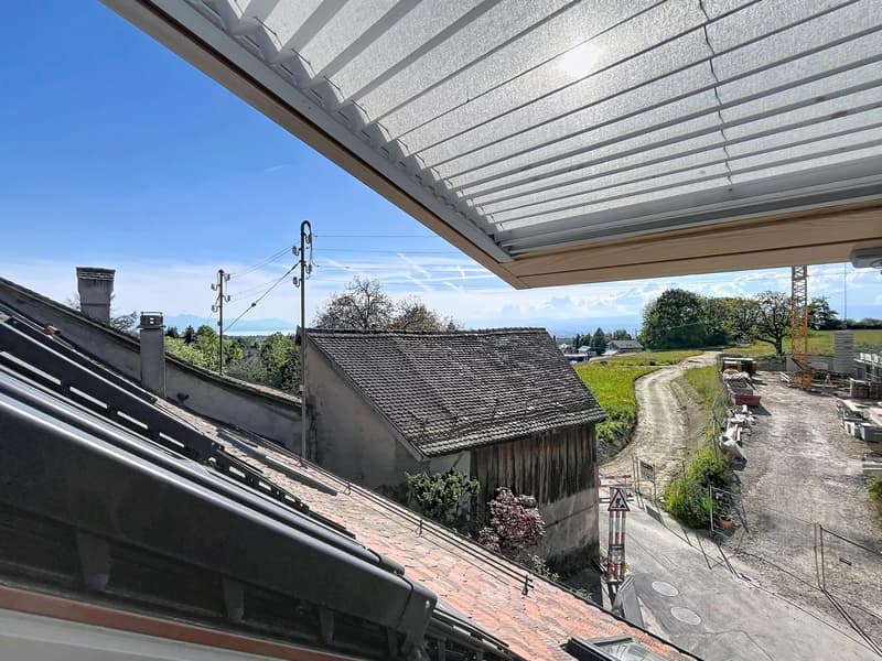 Charming 4.5-room duplex apartment (4)