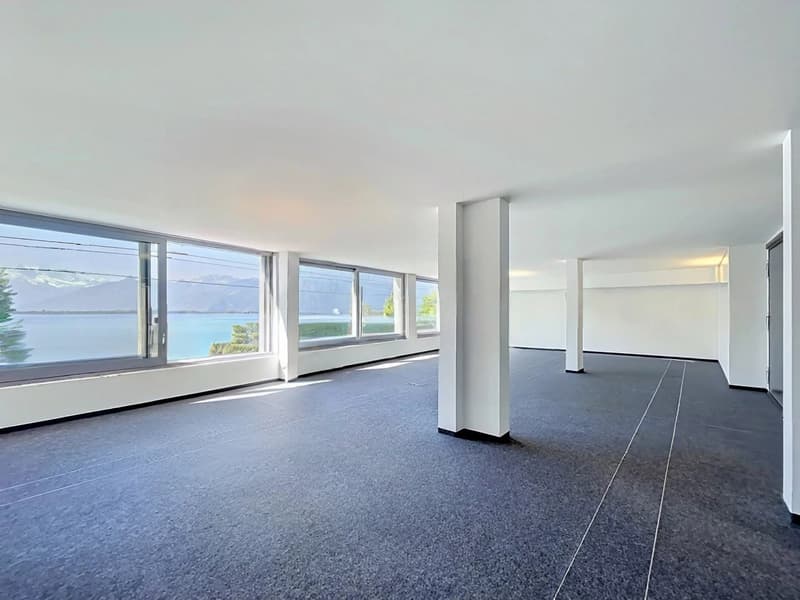 Panoramic Offices (1)
