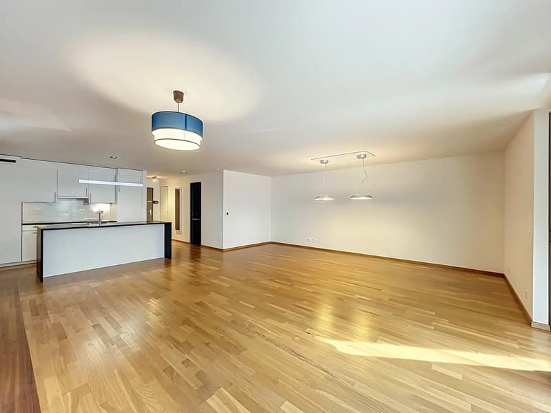 Charming 2.5-room apartment with lake view (1)