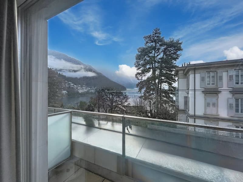 Charming 2.5-room apartment with lake view (5)