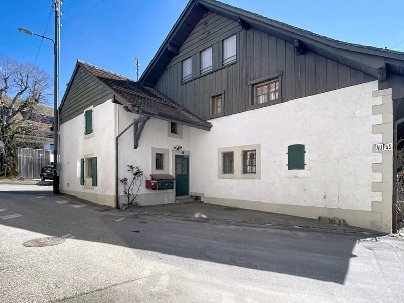 Charming 4.5-room duplex apartment (3)