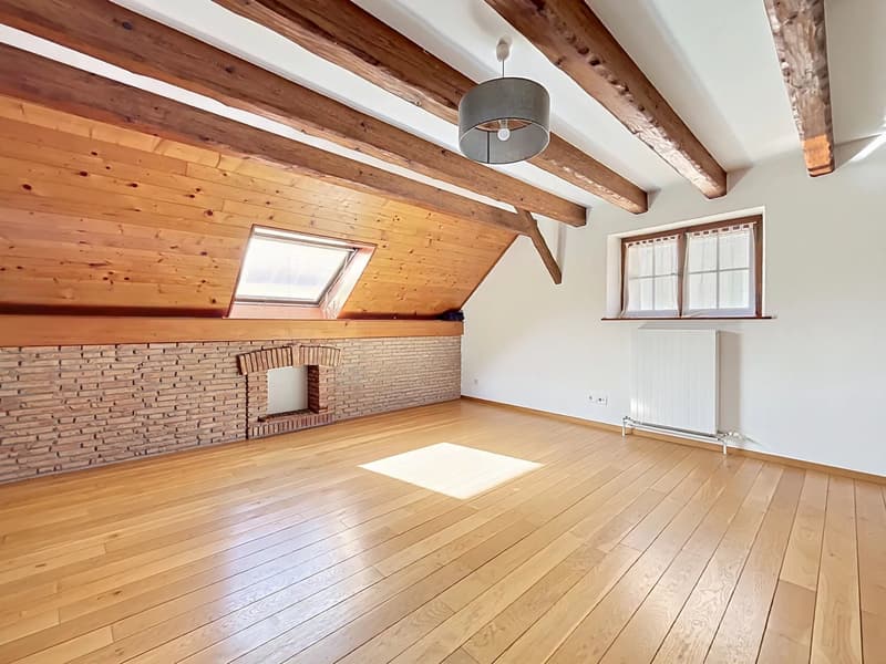 Charming 4.5-room duplex apartment (1)