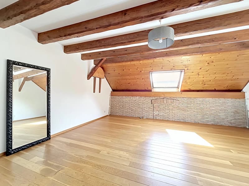 Charming 4.5-room duplex apartment (4)