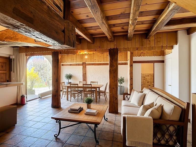 Appartement de charme avec terrasse privative de 25 m² (1)