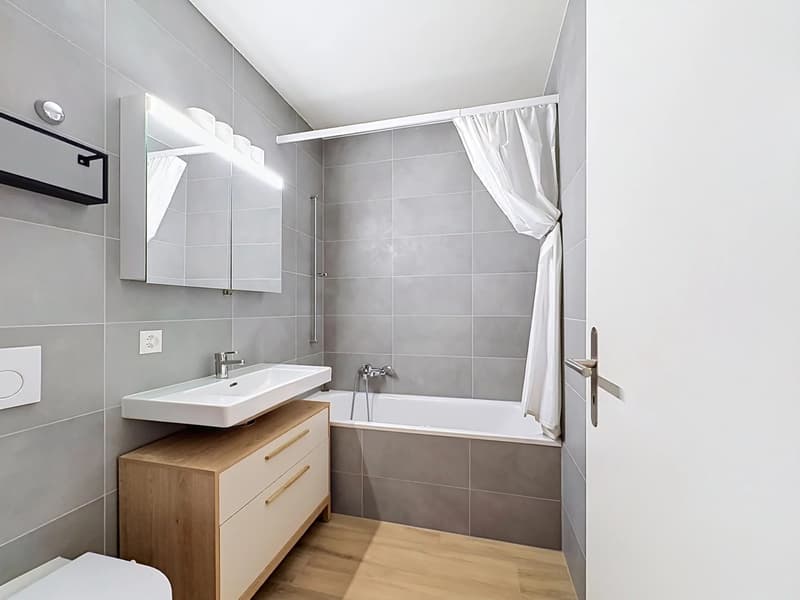 Prächtige 4,5-Zimmer-Wohnung im Dachgeschoss mit Mezzanine und Garage-Box (6)